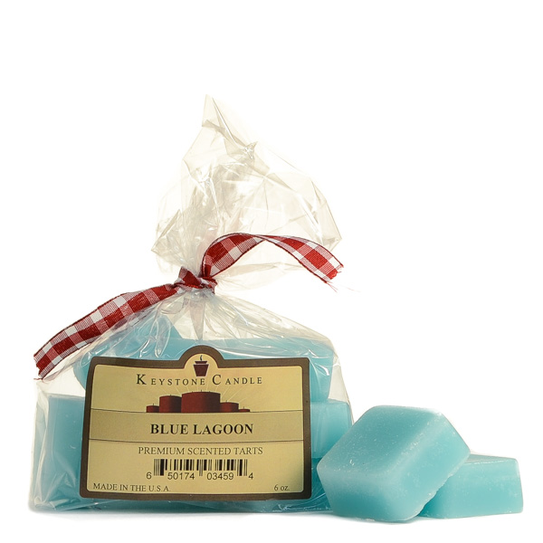 Blue Lagoon Scented Wax Melts Bag of 10