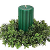 Boxwood 4 Inch Candle Rings