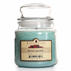 16 oz Blue Lagoon Jar Candles