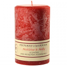 Textured 4x6 Mistletoe and Holly Pillar Candles